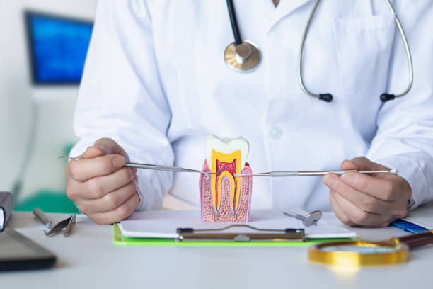 Best Walk-In Emergency Dentist in Port Morris, NJ